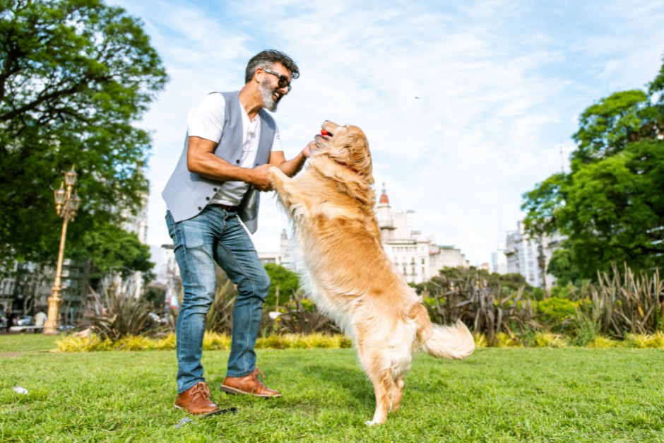 the role and advantages of guide dogs