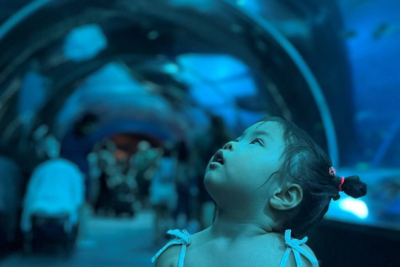 s.e.a aquarium