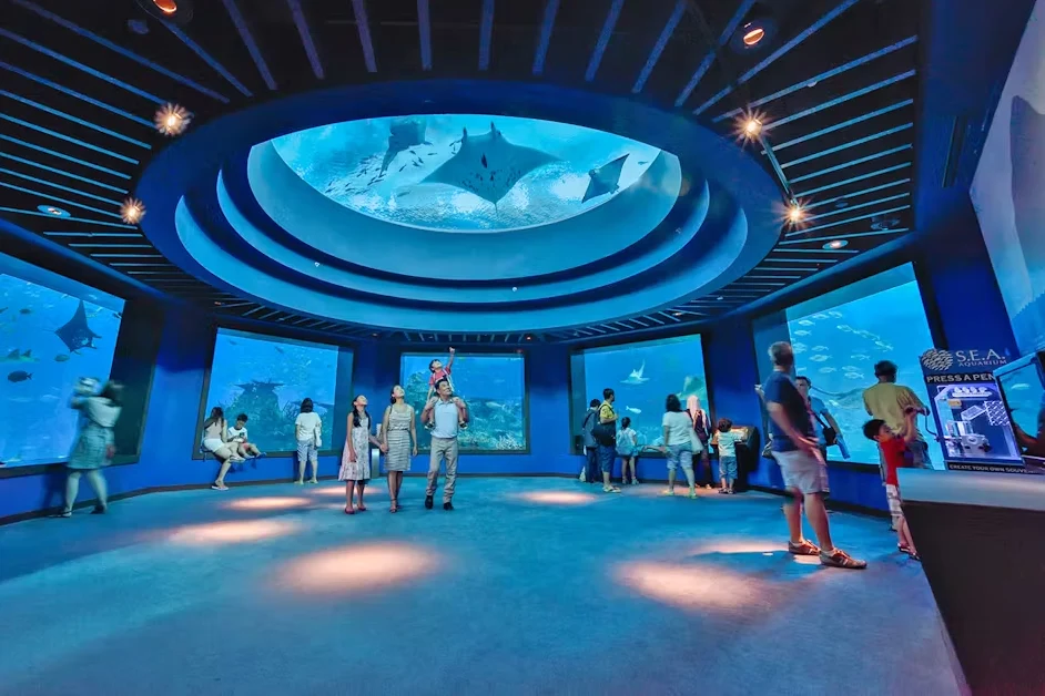 singapore s.e.a. aquarium dolphin discovery tickets